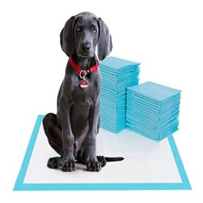 PAÑALES DE ENTRENAMIENTO